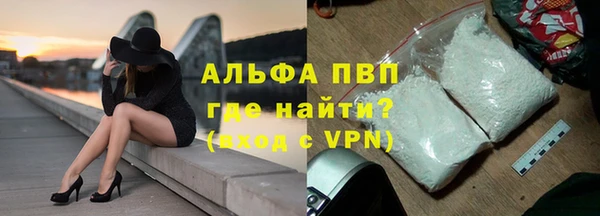 спиды Корсаков