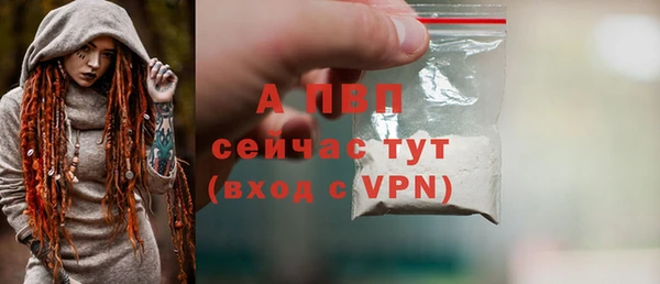 спиды Корсаков