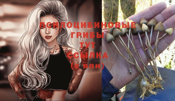 твердый Киров