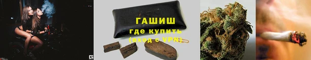 СК Коряжма