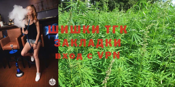 спиды Корсаков