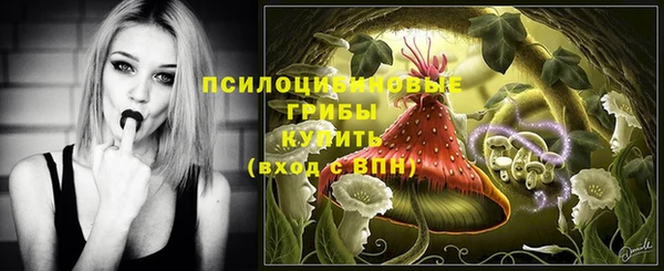 спиды Корсаков