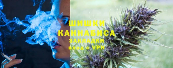 СК Коряжма