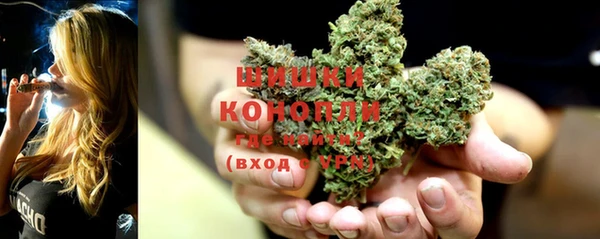 твердый Киров