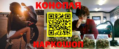 сатива Коммунар