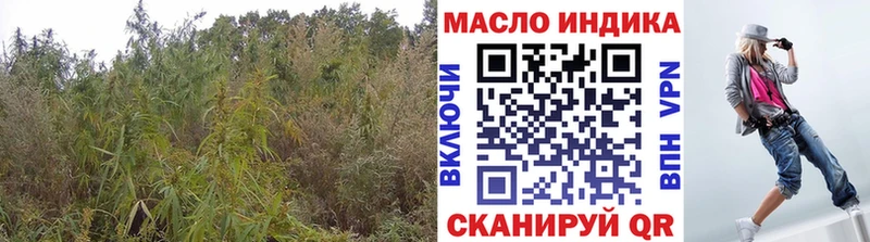 мега как войти  где можно купить   Петрозаводск  Дистиллят ТГК концентрат 