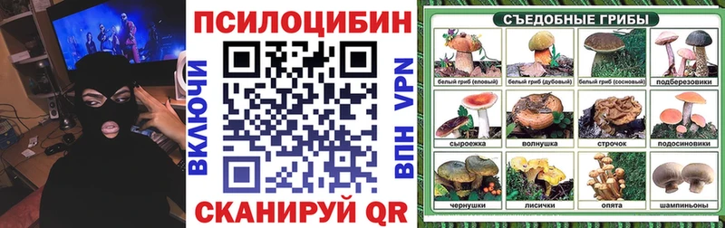 мега как зайти  Петрозаводск  Псилоцибиновые грибы Psilocybine cubensis 